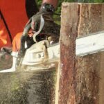 Les 5 erreurs à éviter avec une tronçonneuse