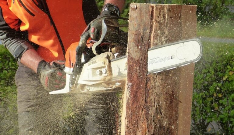 Les 5 erreurs à éviter avec une tronçonneuse