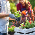 Quels équipements sont indispensables pour un jardin bien entretenu ?