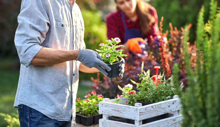 Quels équipements sont indispensables pour un jardin bien entretenu ?